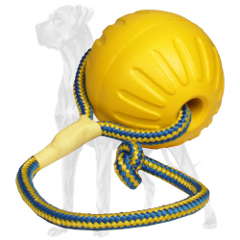 Swinging Great Dane toy on a nylon rope