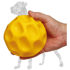 Large tetraflex treat dispensing Great Dane ball