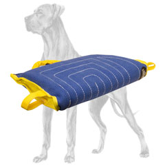 Bite and protection training sleeve for Great Dane
