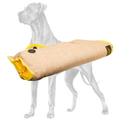 Professional Great Dane bite sleeve for safe puppy training