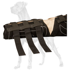 Great Dane bite sleeve with velcro straps for better  regulation