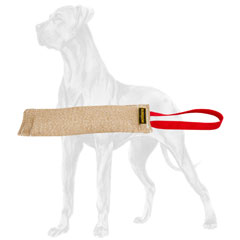 Durable stitched Great Dane bite tug