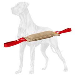 Jute Great Dane bite tug with 2 handles