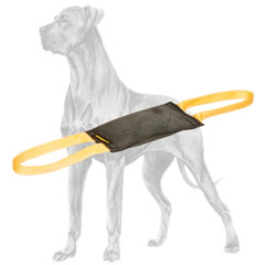 Professional training leather bite tug for Great Dane