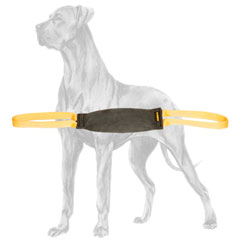 Tearproof Great Dane bite tug for bite training