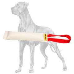 Pocket puppy fire hose bite tug for Great Dane