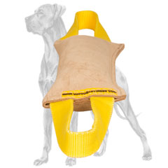 Great Dane bite tug with 2 nylon handles