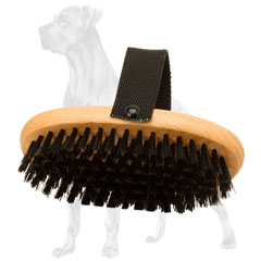 Great Dane brush for daily care