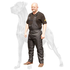 Training with Great Dane pants is safer