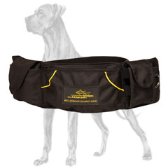 Pouch for Great Dane training to keep treats handy