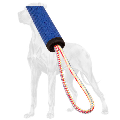 One of two loops for Great Dane training roll