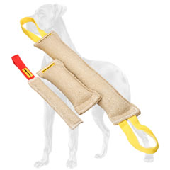 Efficient puppy training with jute Great Dane set