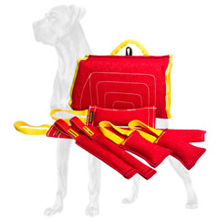 Get this Great Dane set and get 3 tools as a gift