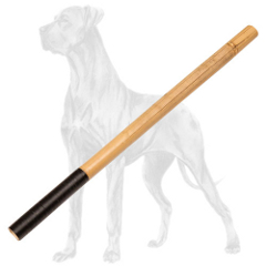 Eco-safe stick for Great Dane professional training