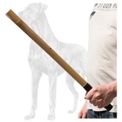 Convenient Great Dane stick with tape covered handle