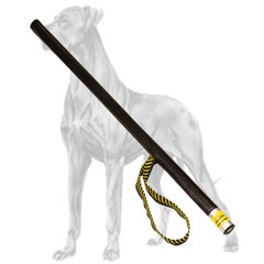 Noisy Great Dane stick for agitation and Schutzhund  training