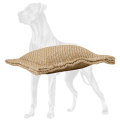 Retrieve jute bite toy for Great Dane