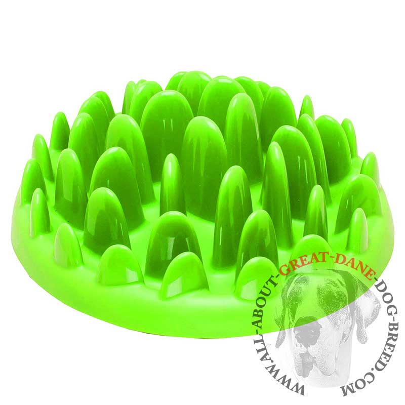 Innovative Grossy Pet Feeder For Great Dane Ka17 1094 Interactive