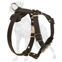 Leather Great Dane Puppy Harness with Adjustable Straps