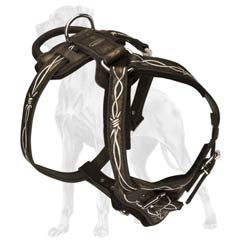 D-Ring-on-Barbed-Wire-Leather-Dog-Harness