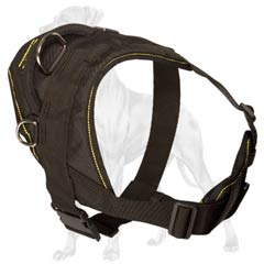 D-Rings on Nylon Dog Harness