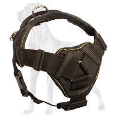 Nylon Dog Harness