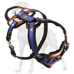 Strong Leather Dog Harness