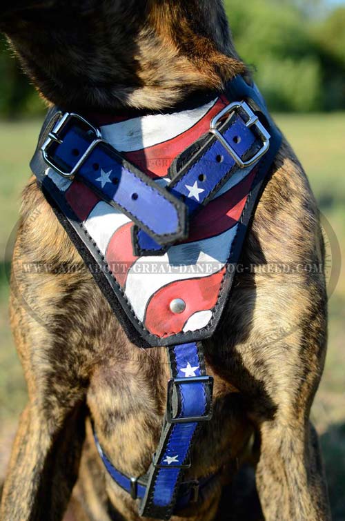 Hypoallergic Leather Dog Harness
