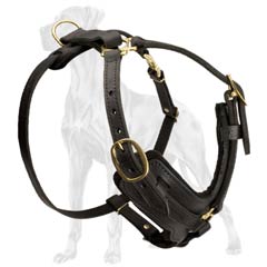 Stylish Dog Harness