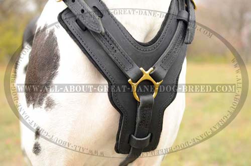 Convenient Leather Dog Harness 