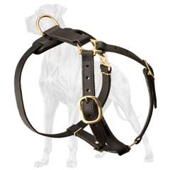 Lightweight Leather Dog Harness for Tracking Work