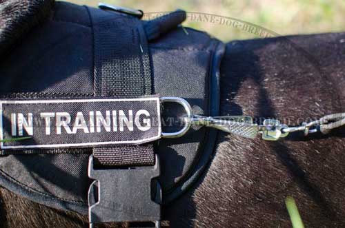 Waterproof Nylon Harness for Great Dane Stitched Nylon Great Dane Harness