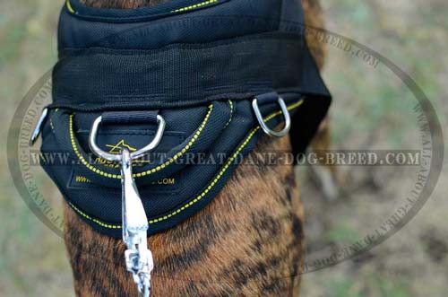 Non-Toxic Nylon Harness for Great Dane