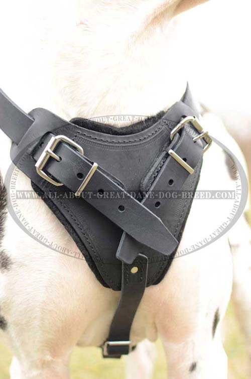 Adjustable Dog Harness Chest Plate for Great Dane Comfort