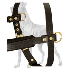 Strong Leather Dog Harness