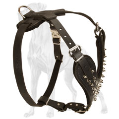 Great-Dane-Dog-Leather-Harness-Spiked-High-Quality-Stylish