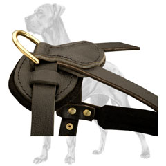 Unique Leather Great Dane Harness