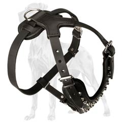 Leather Dog Harness with Superb Pyramids