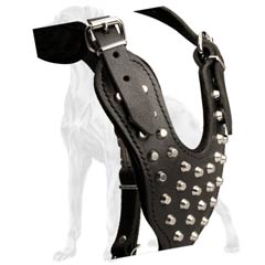 Fashion Leather Dog Harness