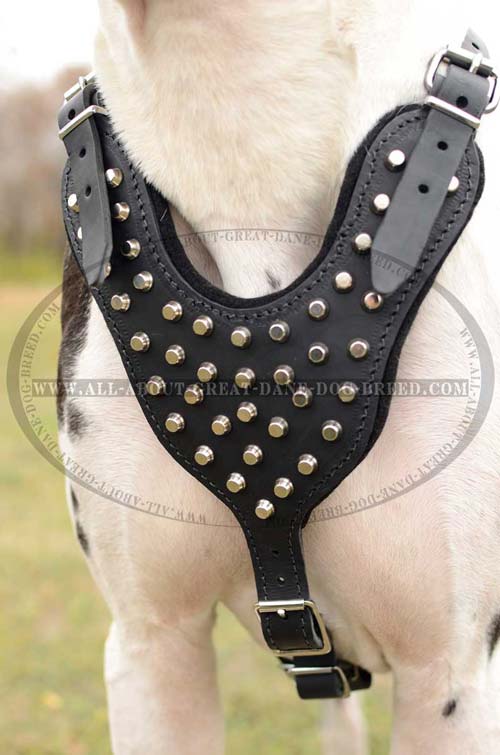 Fashion Dog Harness for Great Danes