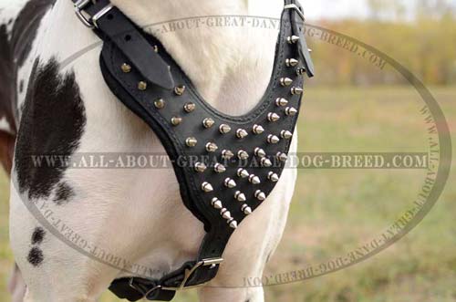 Stylish Leather Dog Harness