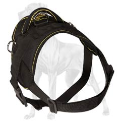 Water resistant Great Dane harness for any weather