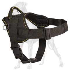 Convenient Great Dane harness with quick release buckle