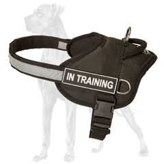 Great Dane harness for tracking and training