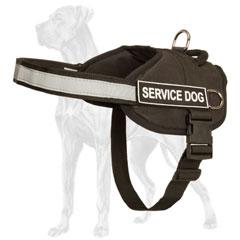 Great Dane harness for activity identification