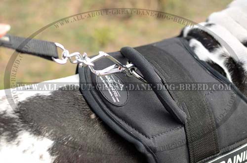 Functional Great Dane nylon harness