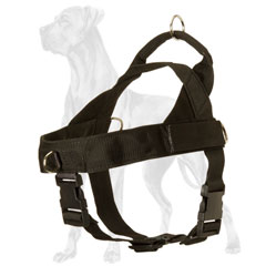 Adjustable Nylon Harness for Great Dane