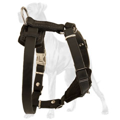 Adjustable Leather Great Dane Puppy Harness