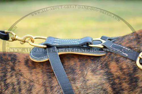 Leather Dog Harness with D-Ring