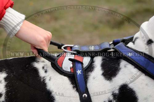 Leather Dog Harness with Handle